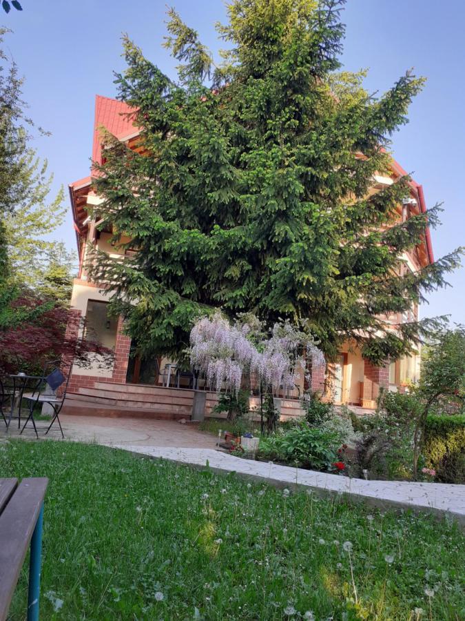 Hotel Casa Stefandra Breaza  Exterior foto